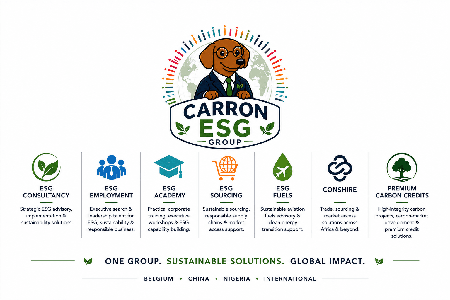 Carron ESG Group infographic detailing seven sustainability services for global business solutions and impact.